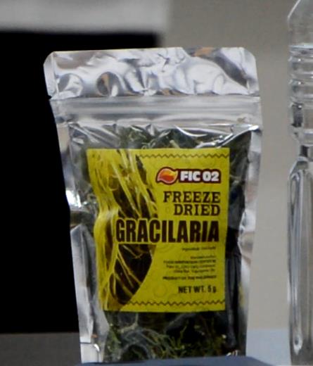 gracilaria.jpg