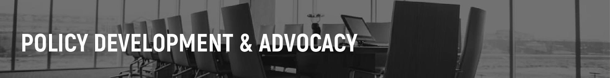 Policy Development and Advocacy